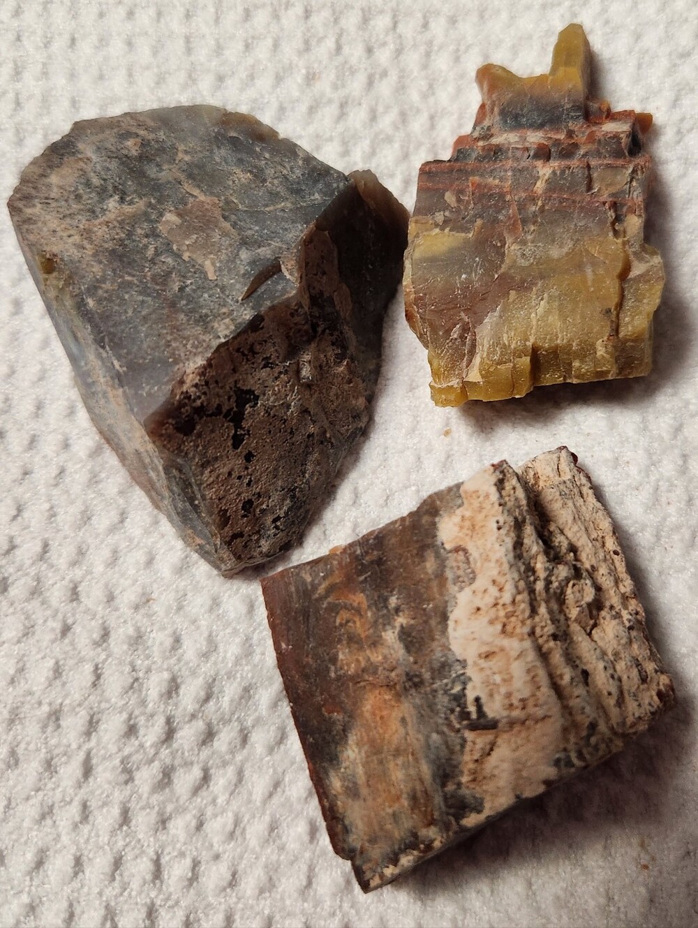 NATURAL RAINBOW PETRIFIED WOOD OF ARIZONA. AS SHOWN IN PHOTOS.
